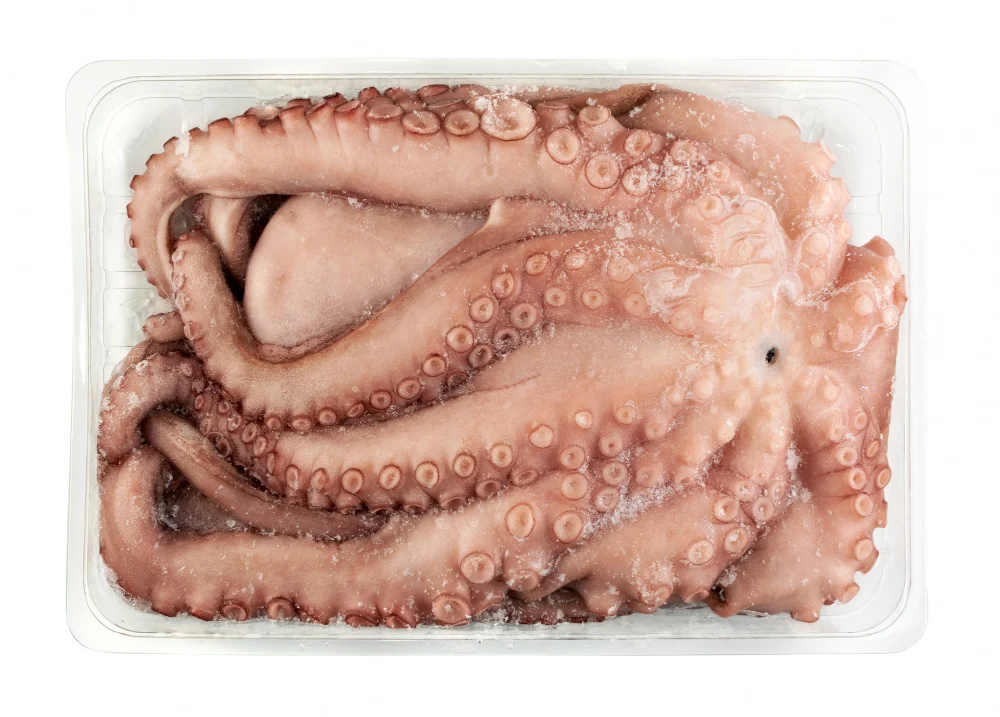 Polpo surgelato intero e pulito all'interno di una vaschetta, proveniente dalle acque siciliane e selezionato da De.Ga Fish.