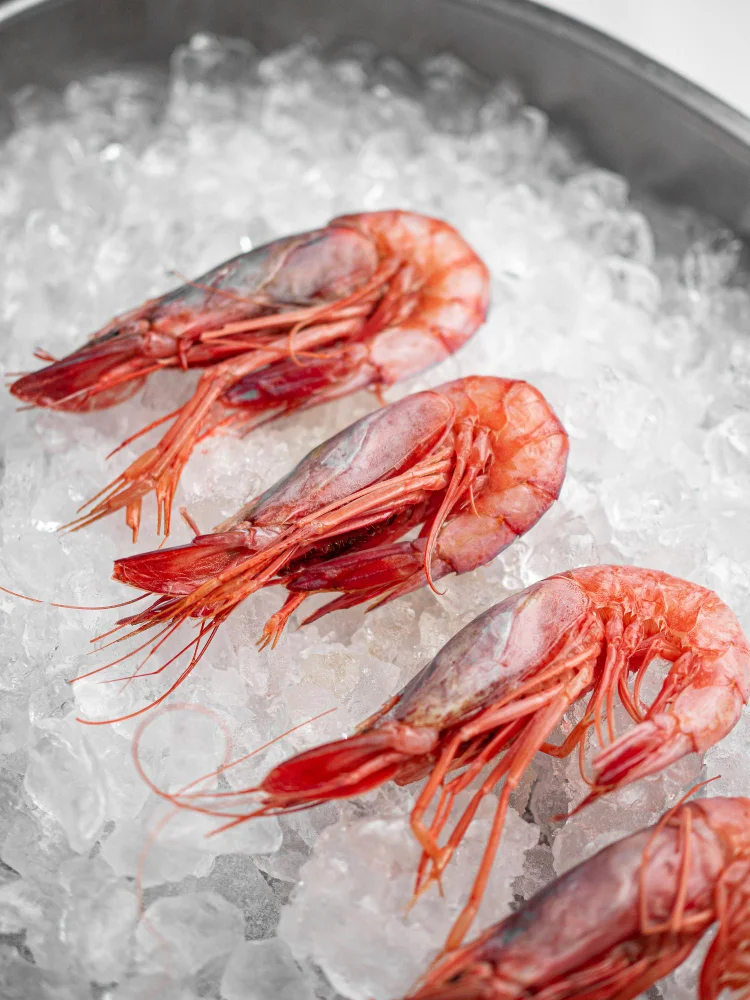 Prodotti ittici freschi conservati su ghiaccio e per la distribuzione fornita da De.Ga Fish nel Nord Italia